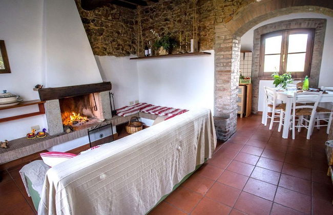 Bio Tenuta di Paganico - I Roggeti - Foto 77