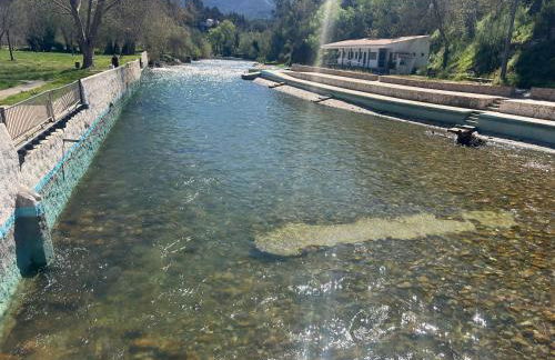 Quinta-lina de serpins - Foto 73