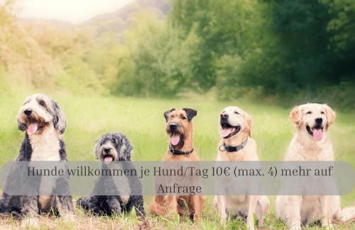 Lodge of Africa - einzigartige Themenzimmer, eingezäunten Garten, Sauna, Whirlpool & Kamin, Hunde willkommen, Gasgrill, voll ausgestattete Küche, großer Essbereich, Hamburg & Stade in der Nähe - Photo 45