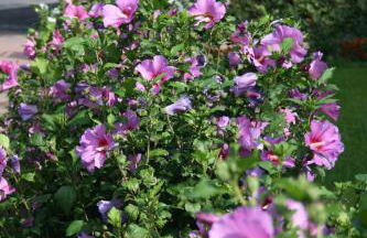 Ferienwohnung am Kurpark - Photo 17