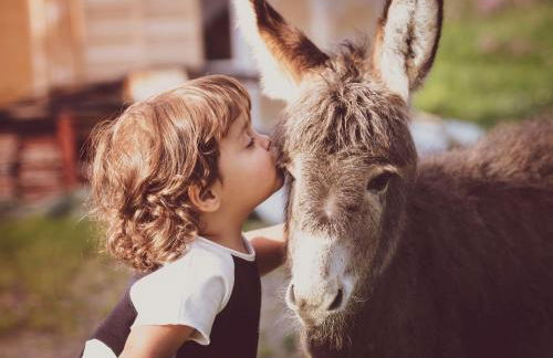 Cuccaro Club - Val di Vara e Cinque Terre - Foto 4