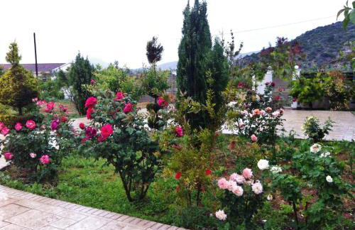 Villa Georgia With Pool - Foto 17