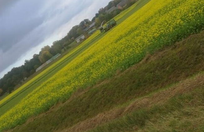 \"the Elf\" Comfortable Holiday Residence - Foto 29