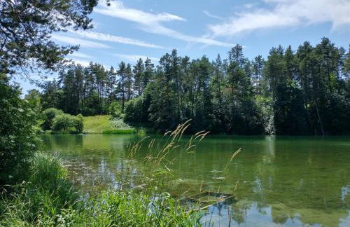 Wigierska Chatka - Foto 70