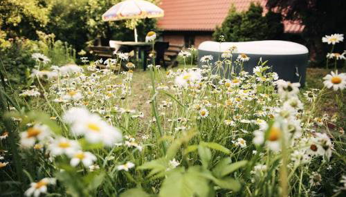 Warmiński dom nad jeziorem - Foto 4