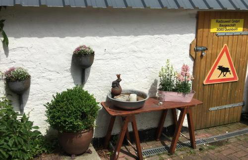 Ferienhaus Norddeichkieker -Nähe Büsum - Foto 24