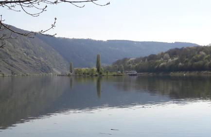 Moselanker de in Enkirch Mosel - Foto 52