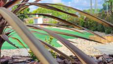 Casa Vitorino - Foto 3, Garden, Garden view