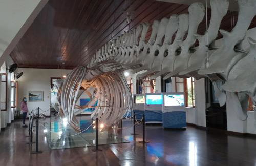 Ponta da Praia amplo 3dorm 3ban frente ao mar - Foto 45