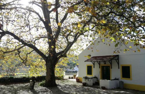 Montejunto Villas - Casa do Plátano - Foto 16