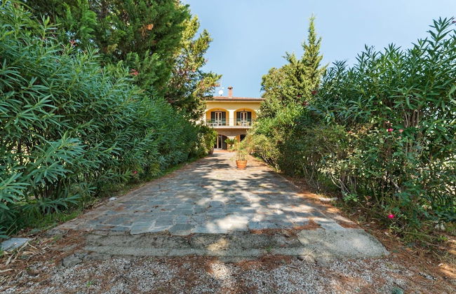 Villa With Pool Near Paestum - Foto 30