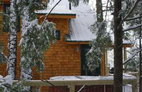 Stellahouse - Awesome Maine Treehouse - Foto 27