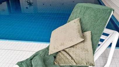 Schwarzwald-Traum mit Pool und Sauna - Foto 2, towels
