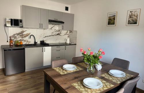 Apartamenty Wadowity- Energylandia Zator - Foto 4