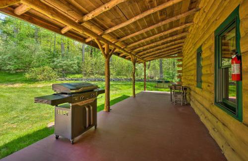 The Red Pine Cabin with Private Pond and Dock! - Foto 27