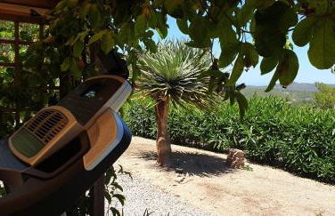 Can Pardal - Foto 45