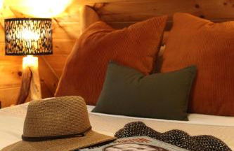 Little Pine Lodge a Smokies Hideaway - 1 mi to GSMNP - King Suite & Loft, Fireplace, Hot Tub & BEARS! - Foto 18