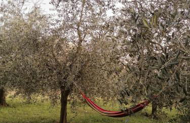 Agriturismo Conca Sandra - Farm Stay on Lake Como - Foto 15