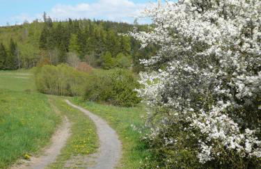 Die Wohlfühloase - Foto 12