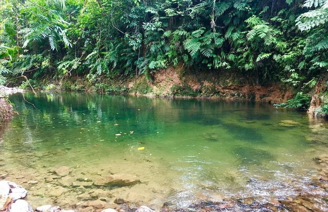 Orchard House - Photo 16