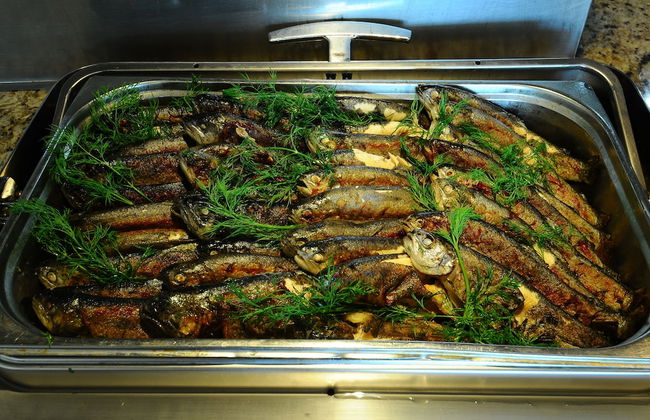 Gold City 1 bedroom Villa 2 - Foto 42