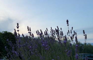 Agriturismo Le Pozze - Foto 24