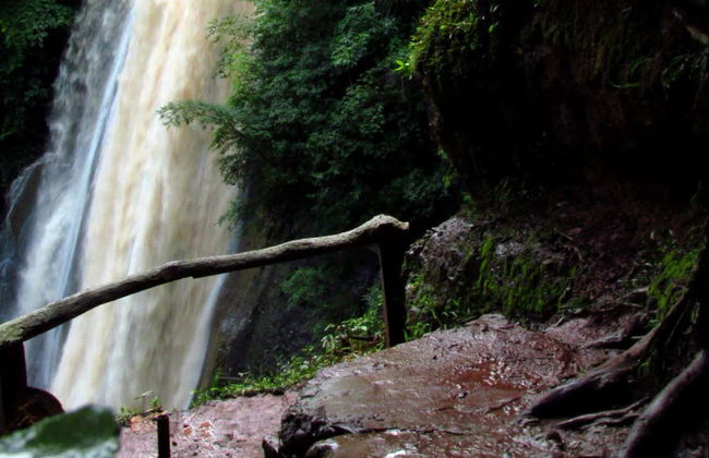 Escursione nella valle del Perené e alle cascate di Chanchamayo - Foto 6