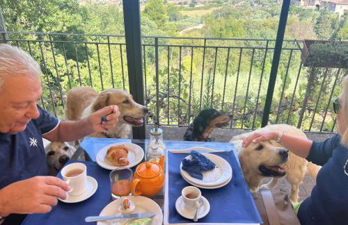 SetterHouseAgriHotel - Photo 9