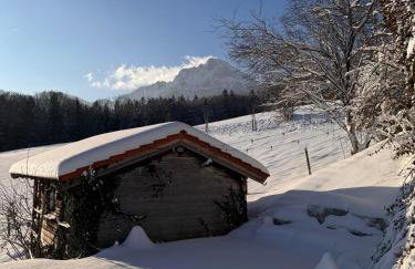 Haus Vogl Anger - Ferienwohnungen mit privater Sauna und beheizten Salzwasser Pool in Panoramalage und Nähe zu Salzburg und Berchtesgaden - Foto 65