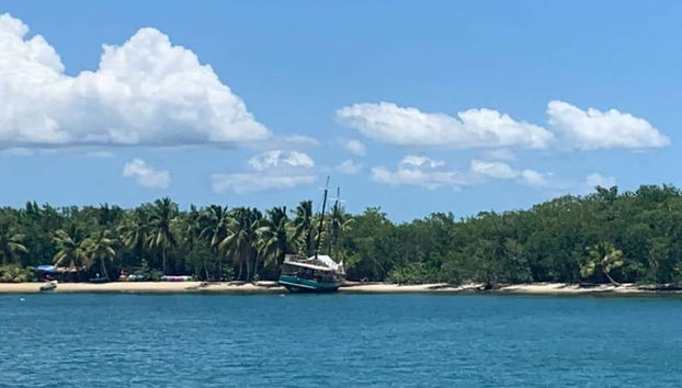 Los Haitises National Park Full Day Tour - Foto 2