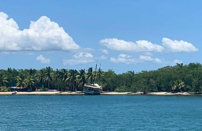 Los Haitises National Park Full Day Tour - Foto 2
