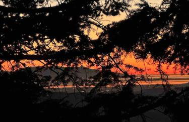 Forest cottage top of the world - Foto 47