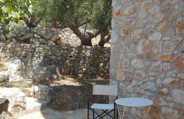 Studio Tsiliviani - Foto 19