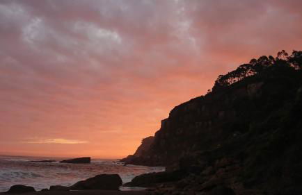 Pura vida Estaño - Foto 11