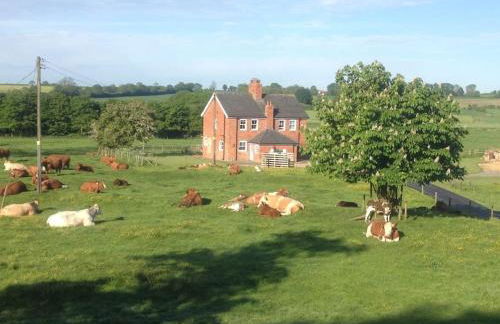 Bainvalley Cottages peaceful South Cottage - Foto 12