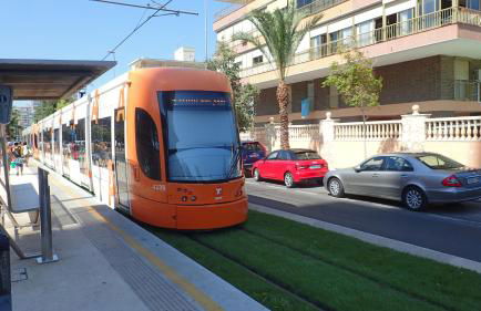 Tortuga Flat - Photo 46