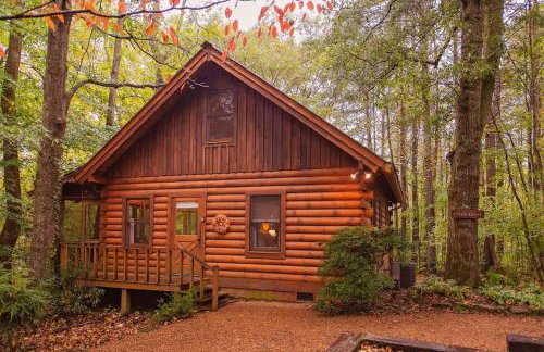 Creek Crest Cabin Ocoee Riverside Cabin - Foto 21