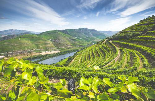 Quinta do Valdalágea - Foto 2