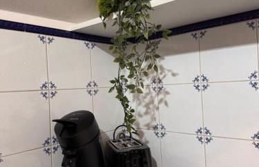 einfachHEIMISCH - GameLOFT - Shuffleboard - 3WCs - Arcade - Nintendo - Foto 14