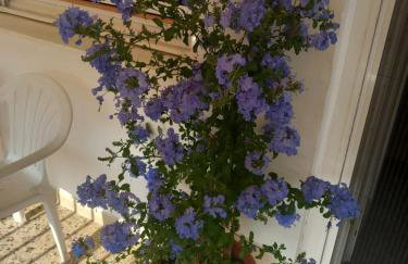 Nikos apartment - Foto 50