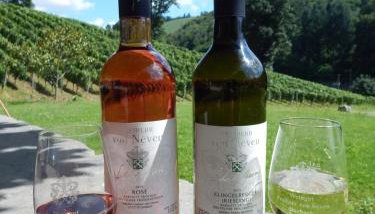 Wein Lodge Durbach - Schlossblick - Foto 5