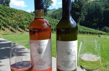 Wein Lodge Durbach - Schlossblick - Foto 5