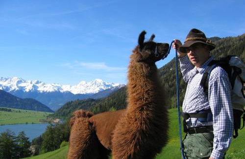 Appartement Sunnleitn - Foto 6