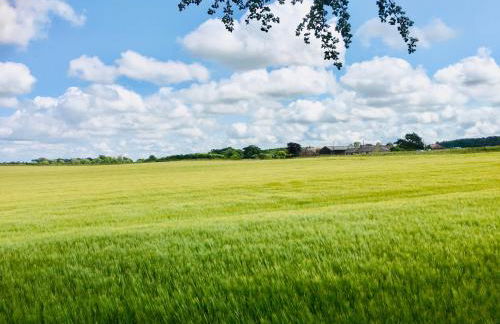 The Little Beech Tree - Foto 37