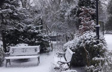 Fort Janowek - Foto 58