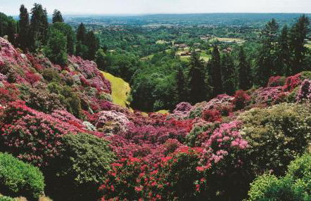 A CASA DI SISSI - Foto 35