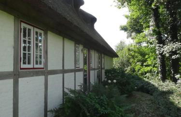 Kate Windeby - Foto 5