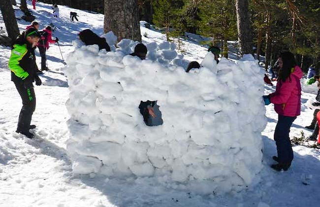 Passeggiata con racchette da neve + Costruzione di un iglù - Foto 4
