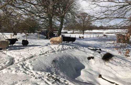 Spacious Cottage - Sleeps 4 - in the Black Mountains - Photo 60