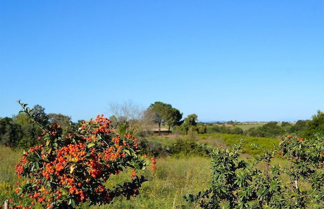 Ars Naturae Biologic Farm - Foto 65